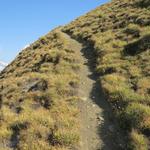 der Bergweg hinauf zum Folluhorn ist immer gut ersichtlich