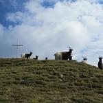 ...auf den Gipfel des Fülhorn führt