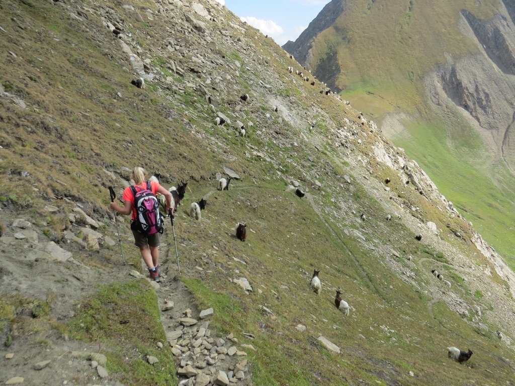 in mehreren Kehren verlieren wir über den steilen aber einfachen Bergweg, schnell an Höhe