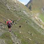 in mehreren Kehren verlieren wir über den steilen aber einfachen Bergweg, schnell an Höhe