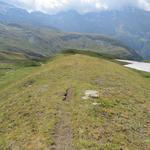 der Wanderweg biegt nun rechts ab und führt uns auf schwachen Wegspuren nach Süden...