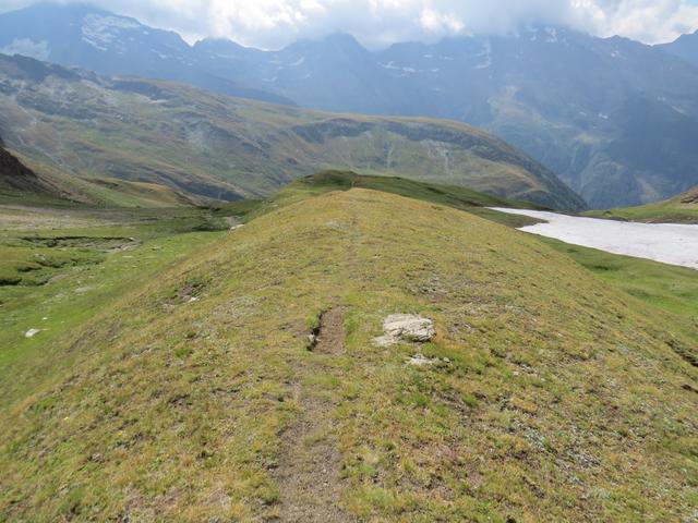 der Wanderweg biegt nun rechts ab und führt uns auf schwachen Wegspuren nach Süden...