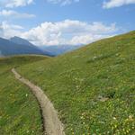 ...über einen kleinen Höhenweg 2395 m.ü.M. mit leichten Gefälle, den weiten Hang der Oflini