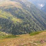 tief unter uns erkennen wir den Simplon-Höhenweg der zur Bortelhütte führt