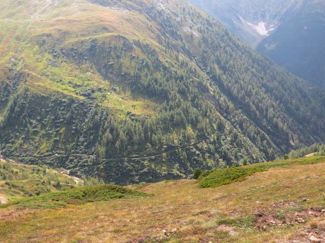 tief unter uns erkennen wir den Simplon-Höhenweg der zur Bortelhütte führt