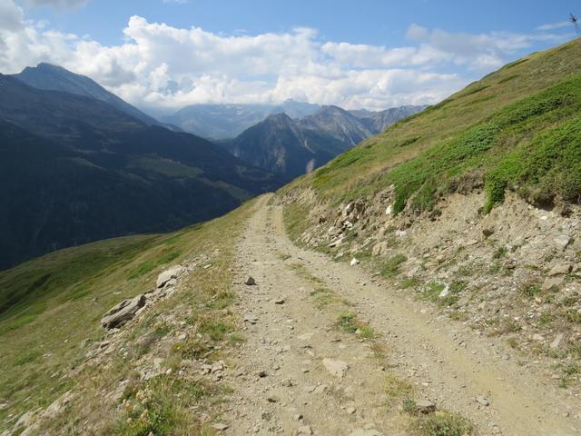 der Pfad führt uns nun linker hand in einem weiten Bogen über den Hang der Fleschhalte zum Fleschbode