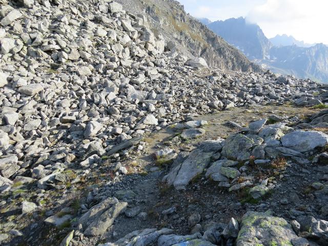 wir verlieren ein paar Höhenmeter und stehen wieder auf einem kleinen Sattel ca. 2820 m.ü.M.