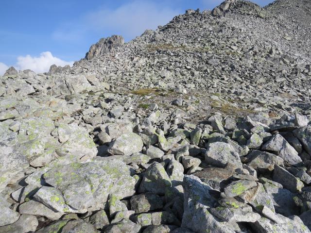 ab hier beginnt nun der anstrengendste Abschnitt der ganzen Bergtour