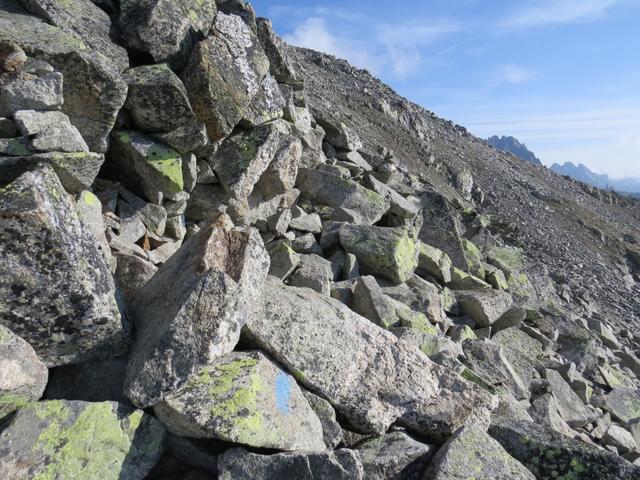 der Pfad führt nun in Geröll- und grob aufgeschichtetes Blockgelände hinein, die man bis zum Gipfel durchschreitet