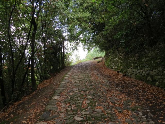 vorbei an der Fortezza Castracani eine ehemalige Burg, lassen wir definitiv Sarzana hinter uns