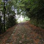 vorbei an der Fortezza Castracani eine ehemalige Burg, lassen wir definitiv Sarzana hinter uns