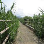 eine sehr schöne Wegführung