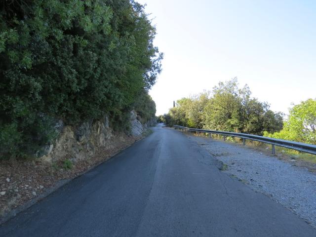 die Via Francigena macht danach einen grossen Bogen, und biegt kurz vor Montignoso rechts ab