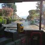 mit dem Bus fahren wir danach nach Camaiore