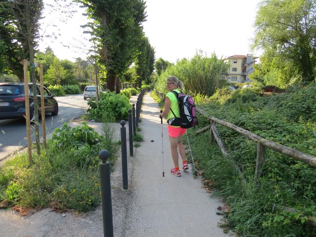 für einmal ist die Via Francigena vorbildlich erbaut. Pilger und Strassenverkehr getrennt