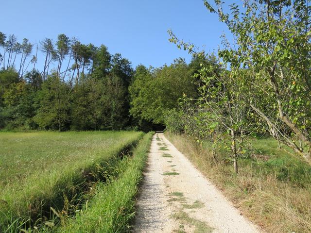 Camaiore liegt nun hinter uns, und wieder heisst es, der Weg ist das Ziel