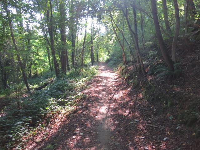 auch heute ist es wieder sehr heiss, und wir sind froh durch den schattenspendenden Wald zu laufen