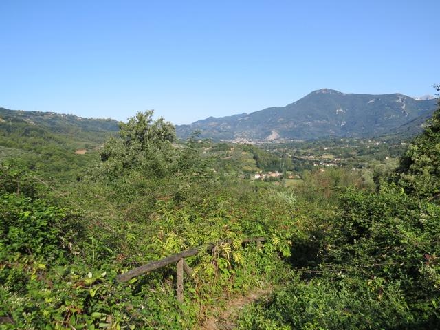 von einer Anhöhe, kurz vor Montemagno blicken wir zurück Richtung Camaiore