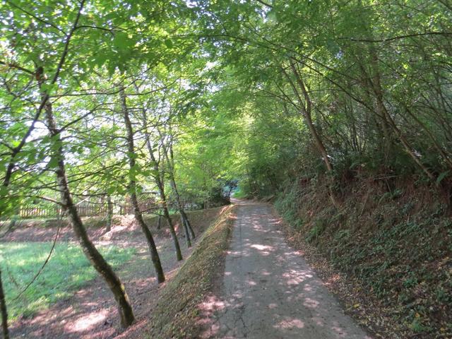 kurz nach Valpromaro verlassen wir die Strasse, und tauchen in einem dichten Wald hinein