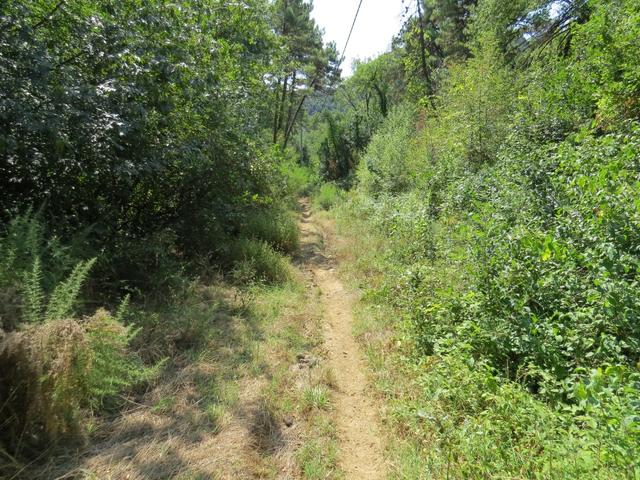 ein zum Teil schmaler Wanderweg führt uns nun Richtung San Macario in Piano