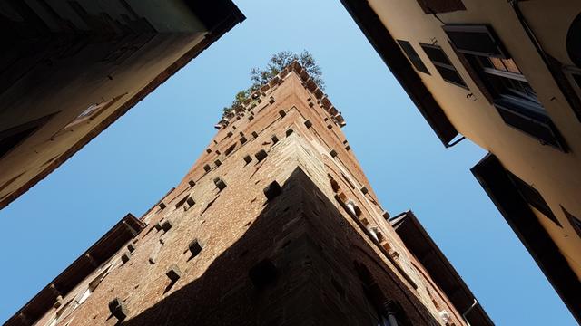 der Guinigiturm ist der wichtigste Geschlechterturm von Lucca und einer der wenigen erhaltenen innerhalb der Stadt