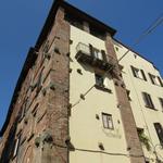 die Altstadt von Lucca mit seinen Häusern einfach eine Pracht