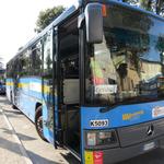 mit dem Bus fahren wir danach zurück nach Lido di Camaiore