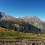 schönes Breitbildfoto aufgenommen auf der Alp Languard. Bei Breitbildfotos nach dem anklicken, immer noch auf Vollgrösse klick