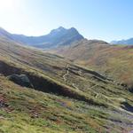 Blick ins Val Languard mit Piz Albris. Hier lebt die grösste Steinbock-Kolonie der Schweiz