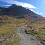 ..Plaun da l'Esen, und gleichzeitig den links abzweigenden Steinbockweg 2732 m.ü.M.