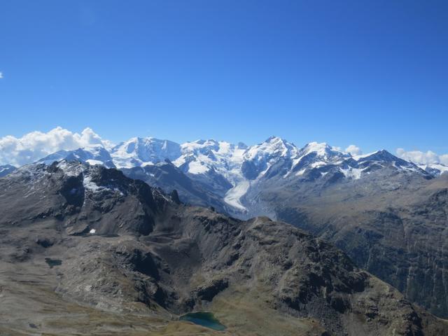 aufgereiht wie eine Perlenschnur glitzern die Eisgiganten der Bernina-Gruppe in der Sonne