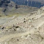 gut ist der Weg ersichtlich der über das Val Languard zur Chamanna Paradis führt