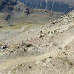 gut ist der Weg ersichtlich der über das Val Languard zur Chamanna Paradis führt