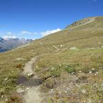 wir biegen rechts ab und folgen diesen Panoramaweg...