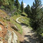 wunderschön schlängelt sich der Wanderweg am steilen Berghang entlang