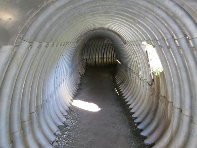 ...führt der Höhenweg durch einen Tunnel