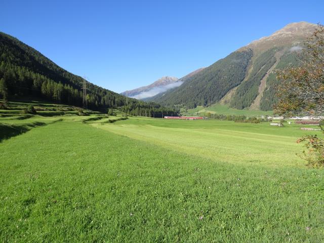 Blick über die Terrassenhänge bei Zernez ins Oberengadin