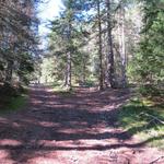 ...erreichen wir über den Wanderweg Punkt 1670 m.ü.M. Hier hat man einen sehr schönen Ausblick in das Val Cluozza