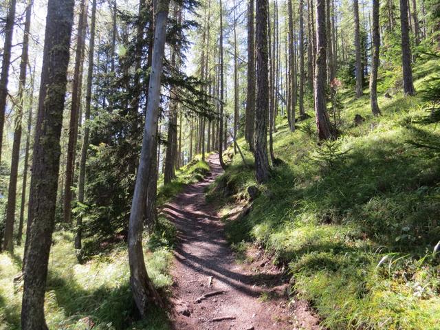 ...der einen schönen Baumbestand, vor allem Arven und Lärchen aufweist