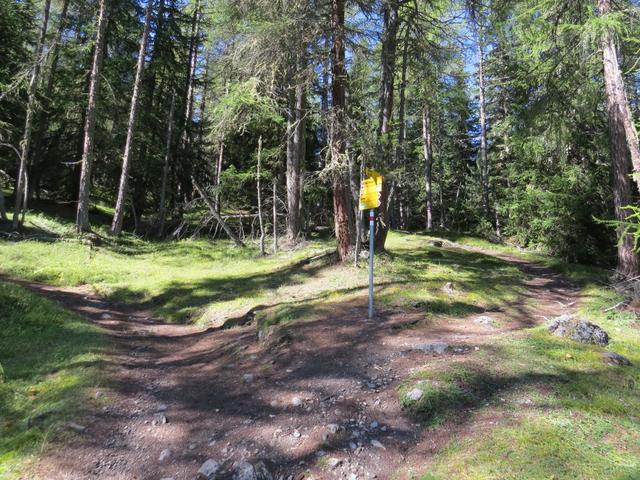 bei der Abzweigung Punkt 1979 m.ü.M...