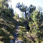 wir wandern auf diesem schönen Bergweg weiter geradeaus...