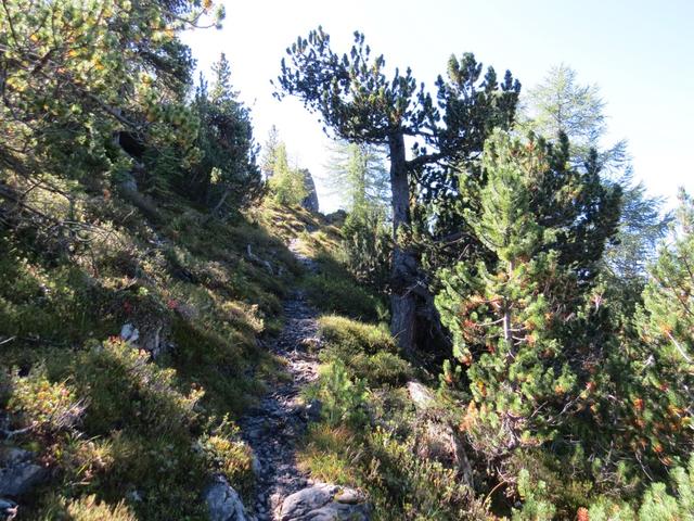 wir wandern auf diesem schönen Bergweg weiter geradeaus...