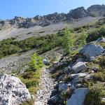 Blick hinauf zum Höhenrücken vom Spi da Murtaröl. Auf dem Rückweg werden wir dort oben hindurchwandern