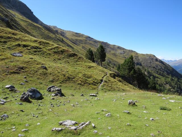 wir lassen den Wald hinter uns und treten in offenes Gelände hinaus