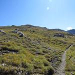 ab hier geht es doch noch einmal ordentlich steil bergauf