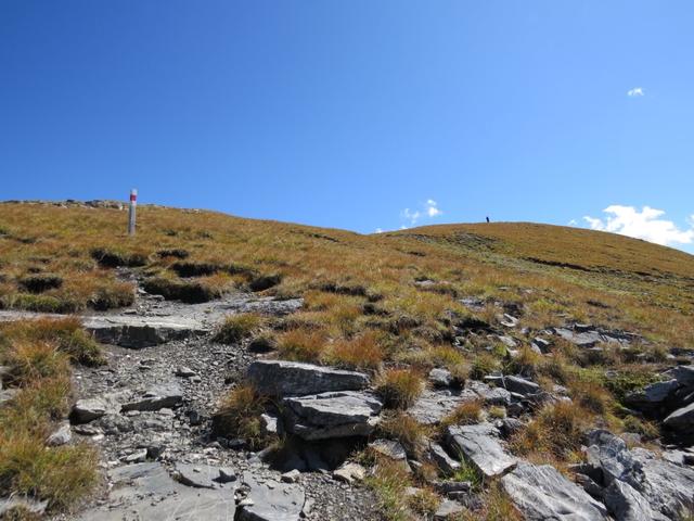 über die kleine hochgelegene Alpweide von Murtaröl 2486 m.ü.M. erreichen wir den Höhenrücken