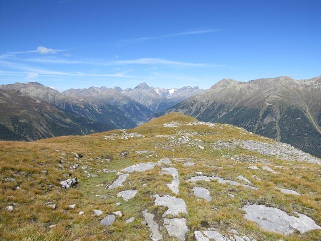 ...sondern wandern aussichtsreich über den Höhenrücken vom Spi da Murtaröl 2469 m.ü.M.