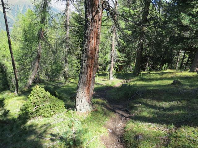 wir befinden uns immer noch im Nationalpark