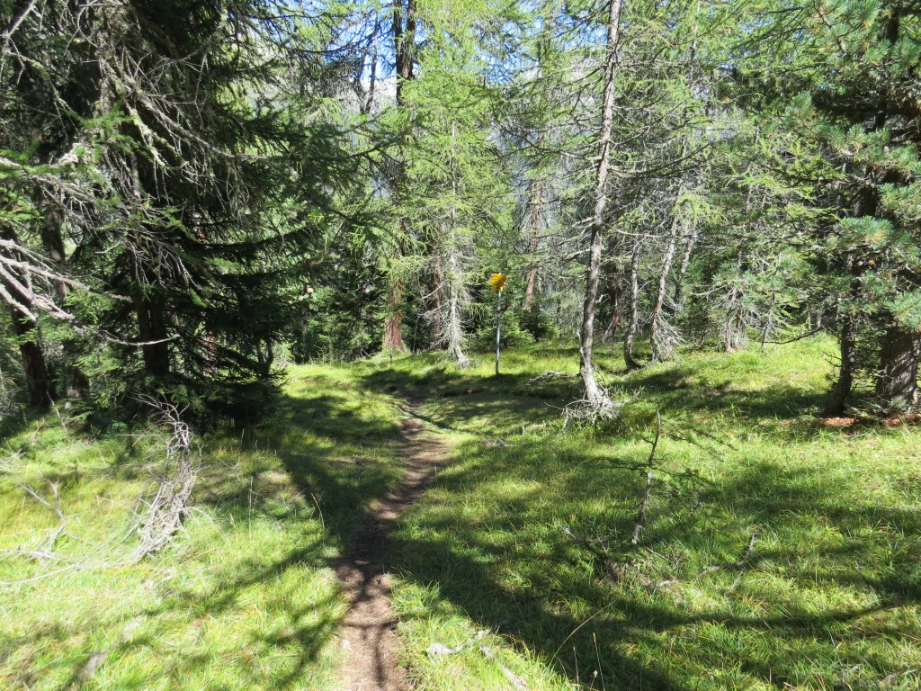 bald erreichen wir die Weggabelung bei Punkt 2082 m.ü.M. Von rechts stösst der Wanderweg von der Chamanna Cluozza hinzu