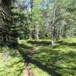 bald erreichen wir die Weggabelung bei Punkt 2082 m.ü.M. Von rechts stösst der Wanderweg von der Chamanna Cluozza hinzu